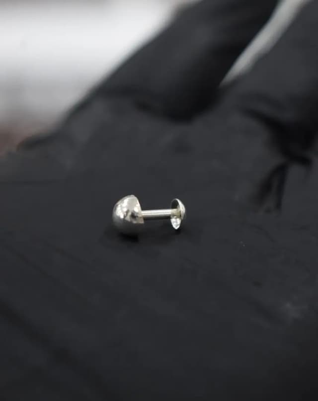 Silver Bullet Stud, സിൽവർ ബുള്ളറ്റ് സ്റ്റഡ്-2